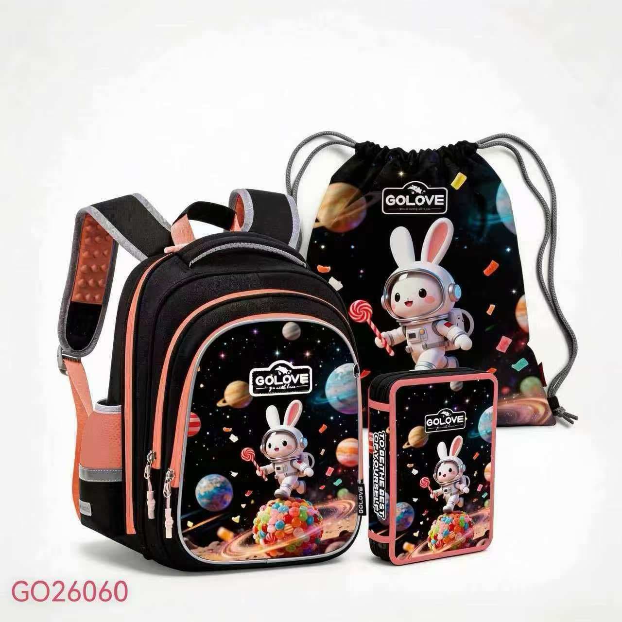 Школьный рюкзак GOLOVE GO26060