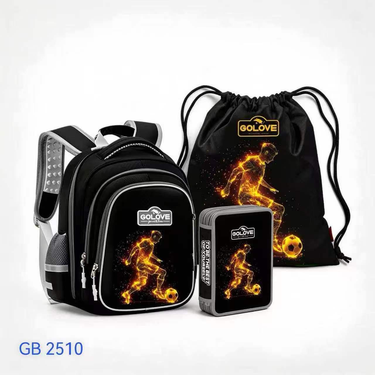 Школьный рюкзак GOLOVE GB2510