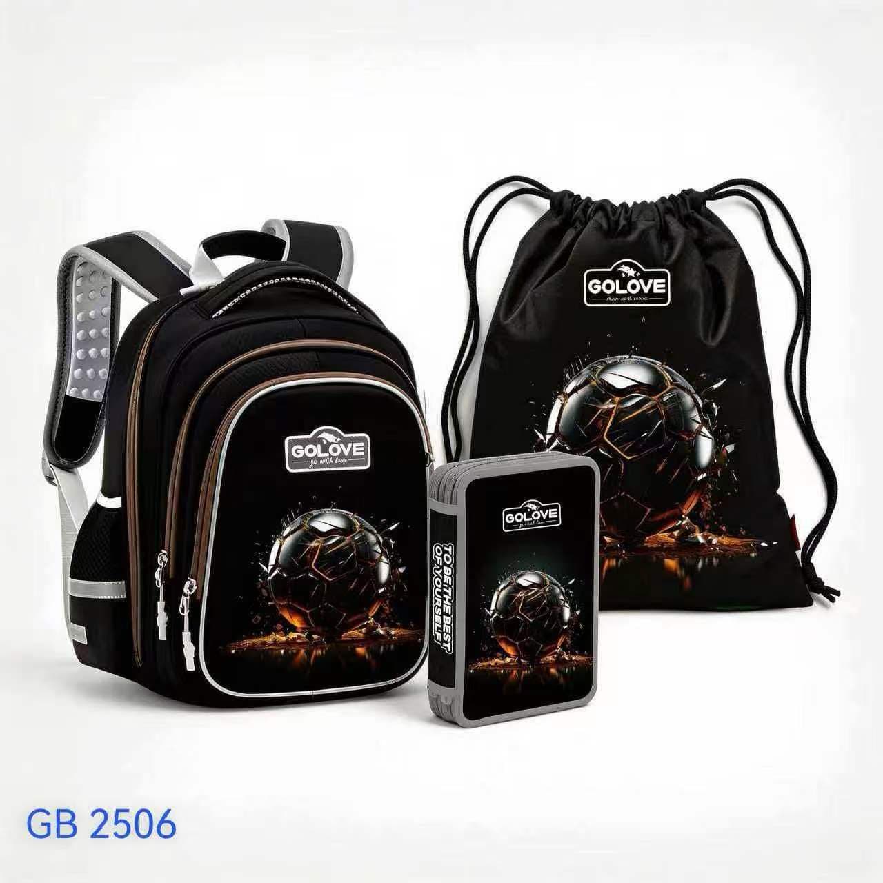 Школьный рюкзак GOLOVE GB2506