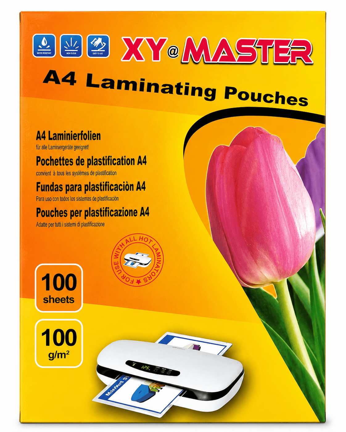 Пленка для ламинирования Master+Plus А4 100 мкм