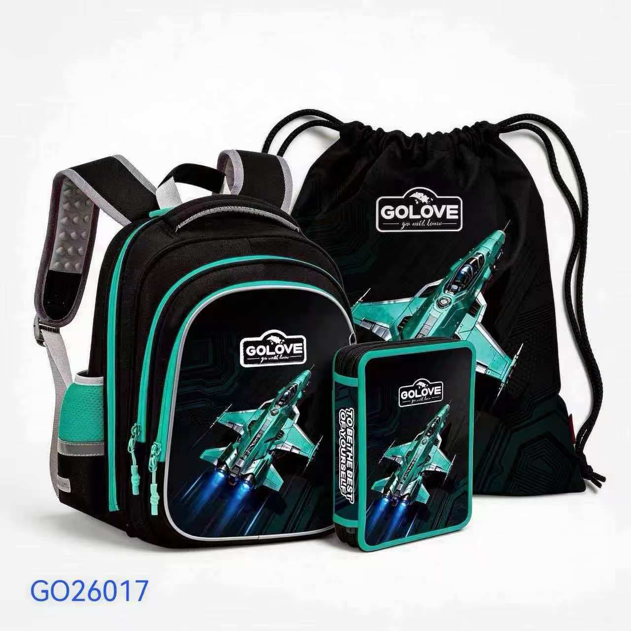 Школьный рюкзак GOLOVE GO26017